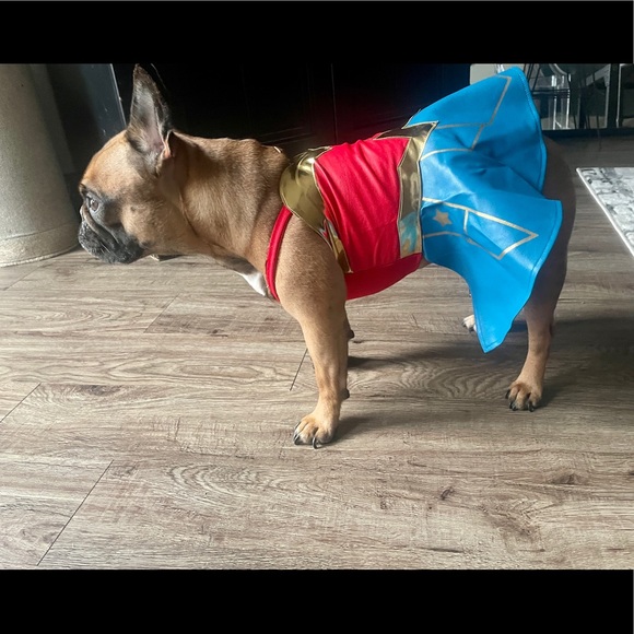 Meet your Posher, Christine - Picture 3 of 10